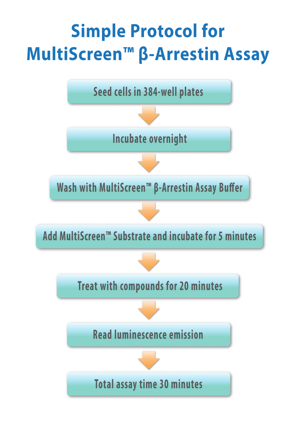 beta-arrestin protocol flow chart Simple Protocol for MultiScreen™ Beta-Arrestin Assay