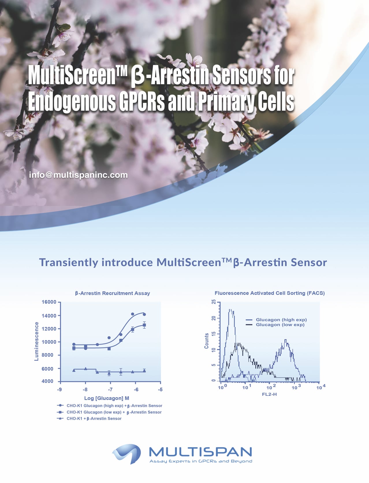 New Cell-based Assays Developed by Multispan