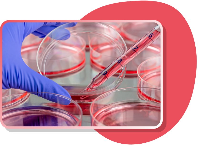 Cell_Based_Assays_Page_Cell_Line_Icon