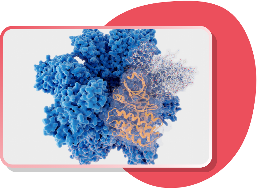 Cell_Based_Assays_Page_Measured_Biology_Icon