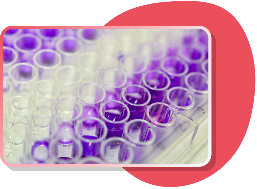 Cell_Based_Assays_Page_Readout_Icon
