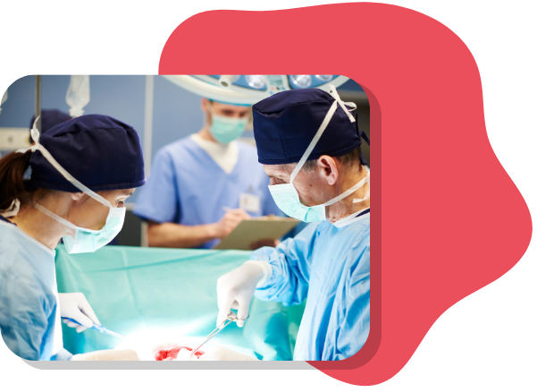 KinaseTransplant