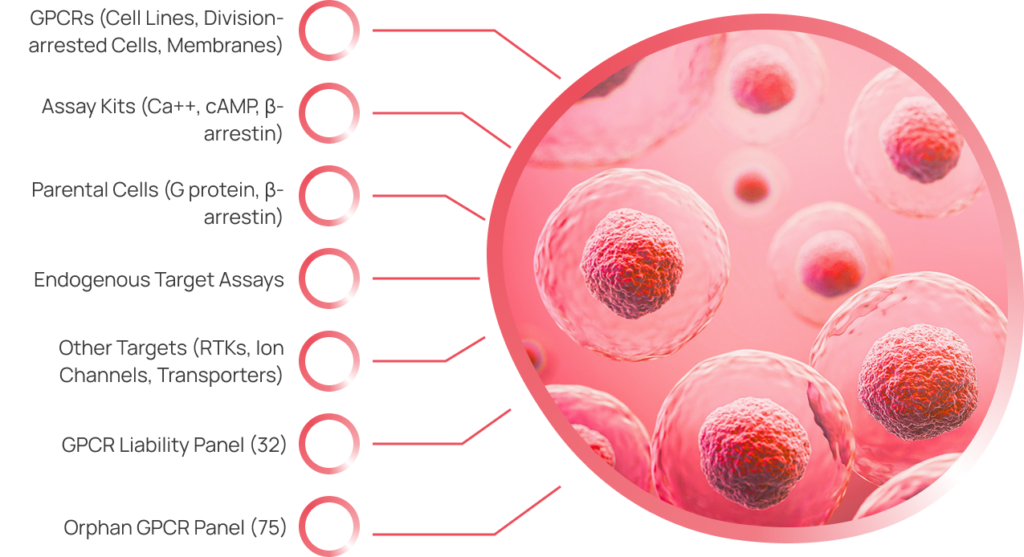 Stable Cell Line Technology Stable Cell Line Generation | Multispan, Inc.