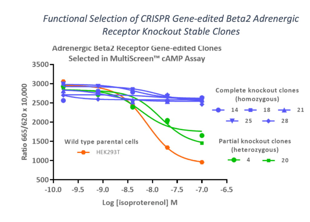 Functional selection of CRISPR gene-edited beta2 adrenergic receptor knockout stable clones