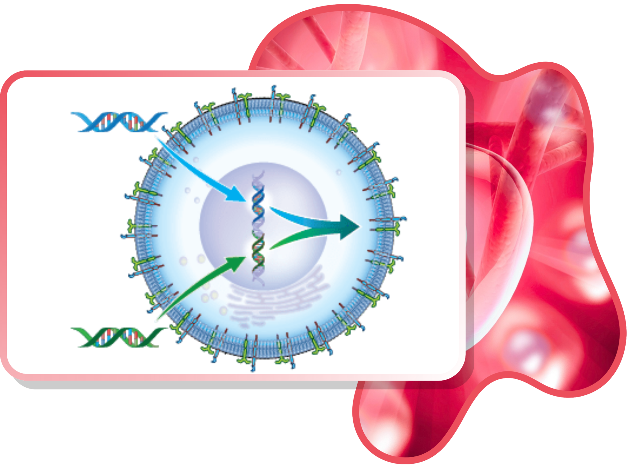 Custom Cell Line Development for Drug Discovery | Multispan