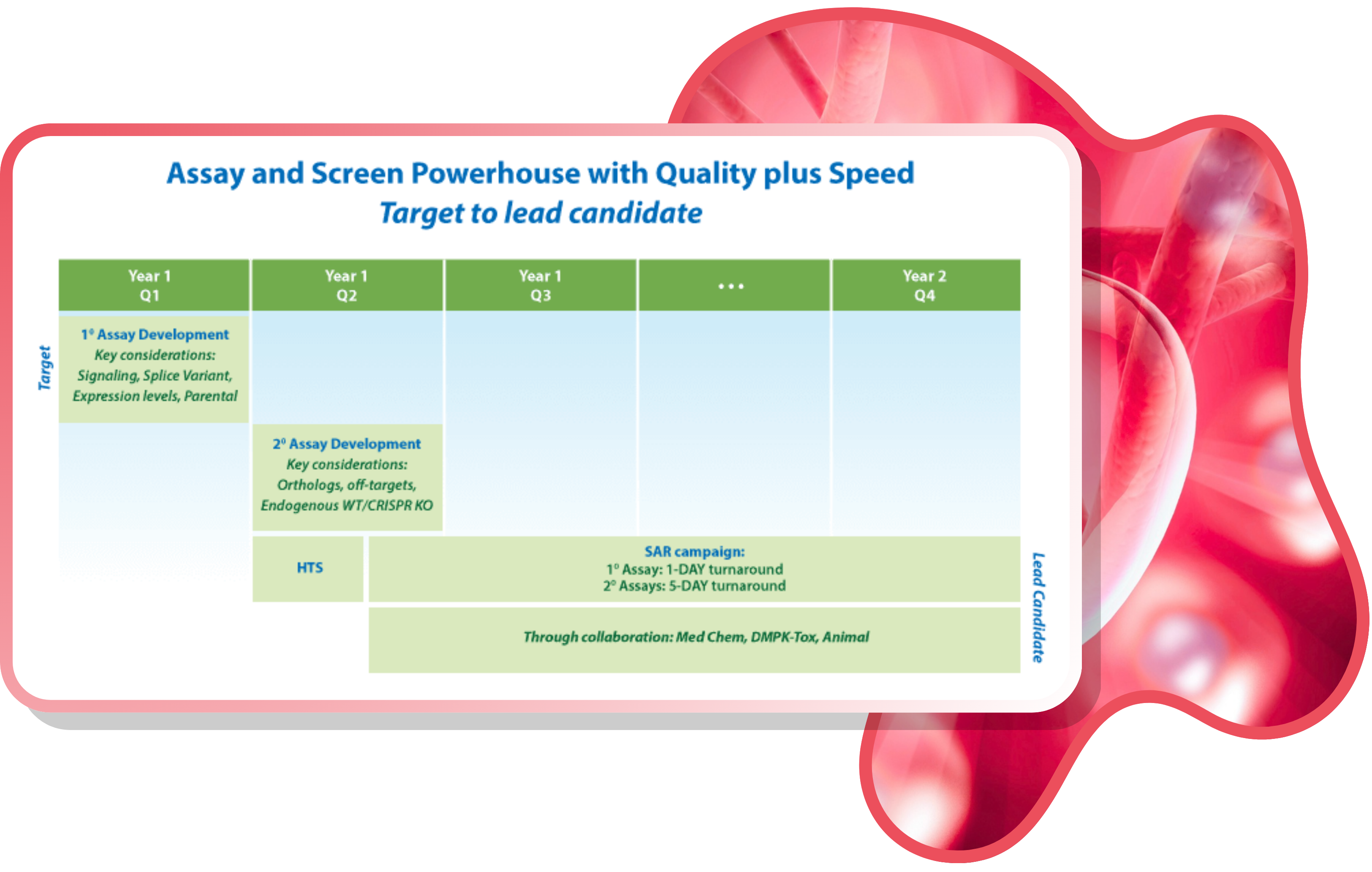 High Throughput Screening | Multispan Inc - Discover Our Services